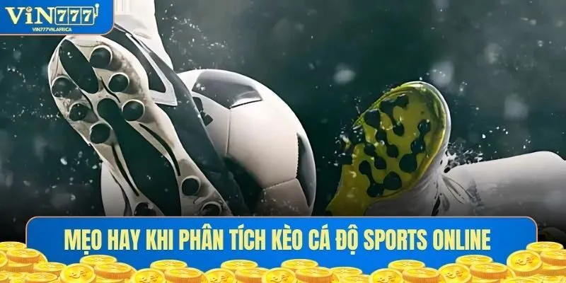 Mẹo hay khi phân tích từng vé cược sports online